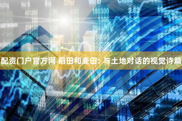 配资门户官方网 稻田和麦田: 与土地对话的视觉诗篇
