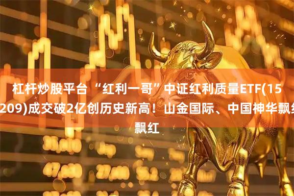 杠杆炒股平台 “红利一哥”中证红利质量ETF(159209)成交破2亿创历史新高！山金国际、中国神华飘红