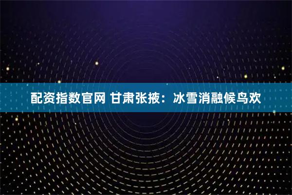 配资指数官网 甘肃张掖：冰雪消融候鸟欢