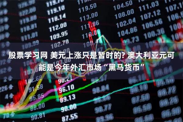 股票学习网 美元上涨只是暂时的? 澳大利亚元可能是今年外汇市场“黑马货币”
