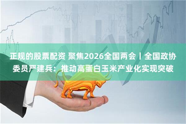 正规的股票配资 聚焦2026全国两会丨全国政协委员严建兵：推动高蛋白玉米产业化实现突破