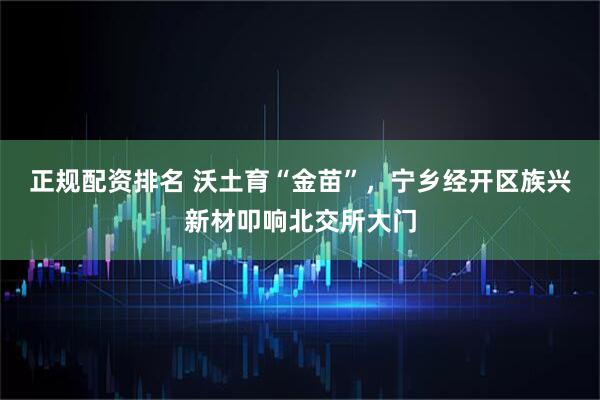 正规配资排名 沃土育“金苗”，宁乡经开区族兴新材叩响北交所大门