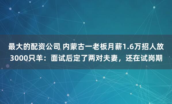 最大的配资公司 内蒙古一老板月薪1.6万招人放3000只羊：面试后定了两对夫妻，还在试岗期